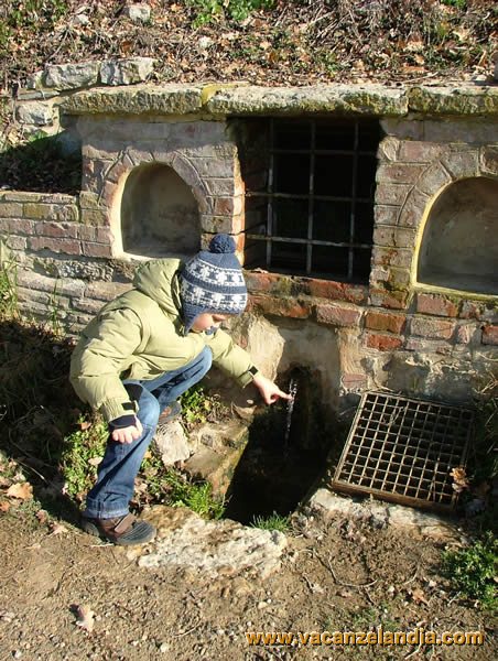  - 17 - toscana - san casciano bagni - acqua termale - filippo